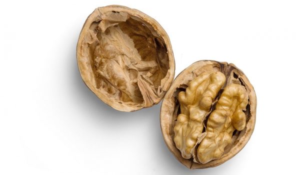walnut1